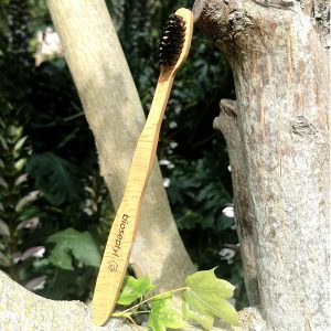 brosse à dents bois dubois biosetyl