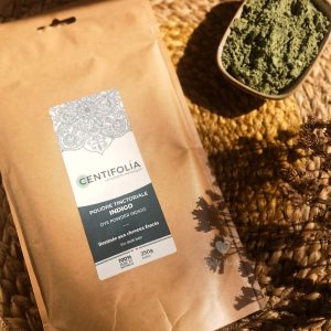 indigo poudre centifolia